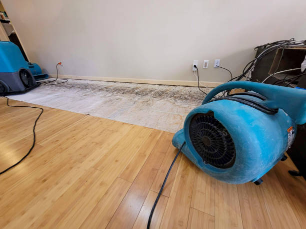 Professional Water Damage Repair technician working in Snyder, CO